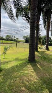 a hammock between two palm trees in a field at Quarto 4 Aventureiro in Santa Rosa