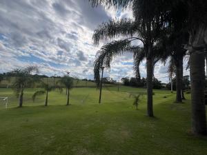 a group of palm trees in a field at Quarto 4 Aventureiro in Santa Rosa