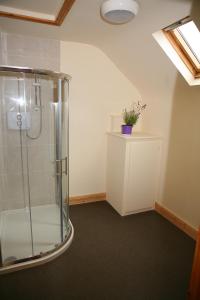 uma casa de banho com uma cabina de duche em vidro e uma planta no balcão em The Loft, Ardfert em Ard Fhearta