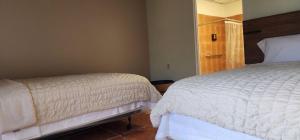 JayuyaParadise View Room in Jayuya, Puerto Rico - Comfort City Mountain Views的一间卧室配有两张单人床。