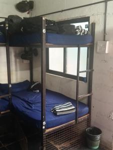 a couple of bunk beds in a room at Cpdretreathostel in Arambol