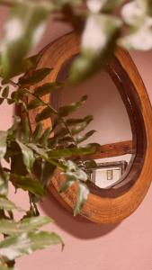 uno specchio con una pianta davanti di Casa Mares Valle de Bravo a Valle de Bravo