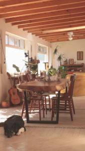 un cane steso sul pavimento accanto a un tavolo di Casa Mares Valle de Bravo a Valle de Bravo