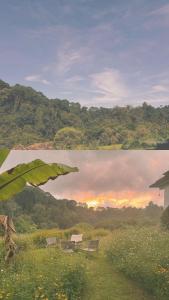 due panchine in un campo con un dipinto di un tramonto di Casa Mares Valle de Bravo a Valle de Bravo