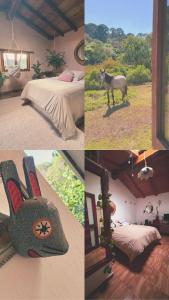 un collage di foto di una camera da letto con un cavallo di Casa Mares Valle de Bravo a Valle de Bravo