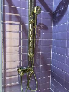 une douche avec pommeau de douche dans une salle de bain carrelée de violet dans l'établissement AlphaDreams Villa, à Magodo