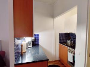 a small kitchen with a counter and a sink at Cozy Nordic Studio in the Heart of Helsinki in Helsinki