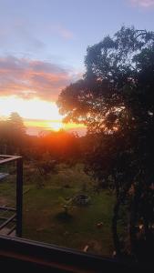 Tamara Monteverde View and Forest Chalet في مونتيفيردي كوستاريكا: إطلالة على غروب الشمس من نافذة مع شجرة