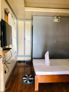 Μια τηλεόραση ή/και κέντρο ψυχαγωγίας στο Coconut Beach Bar and Cottages