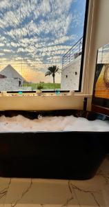 カイロにあるDayy Pyramids View Hotelの椰子の木を望む窓