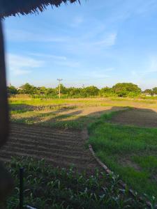 Gallery image of Làng Đoài Homestay in Sơn Tây
