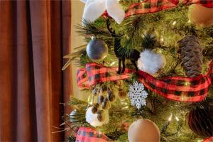 Φωτογραφία από το άλμπουμ του Pickleball at 7000ft Private home with Court σε Elden Pueblo