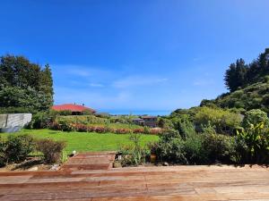Blick auf einen Garten mit einem Hügel im Hintergrund in der Unterkunft Pōhutukawa House Pohara in Pohara