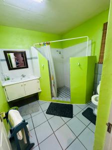 a green bathroom with a shower and a toilet at Biba's Rooms in Smithfield +28 photos