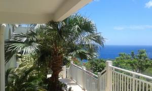 a palm tree on a balcony with the ocean at Gîte des voyageurs in Vieux-Habitants