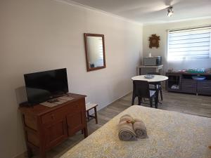 TV a/nebo společenská místnost v ubytování Akkerhuys Guest House