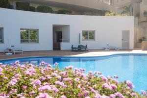Una piscina con flores rosas en primer plano. en Luamar Residence, en Lagos