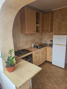 Køkken eller tekøkken på Nicolae Romanescu Park