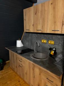 Kuchyň nebo kuchyňský kout v ubytování Dream view of Apuseni + 46 fotografií