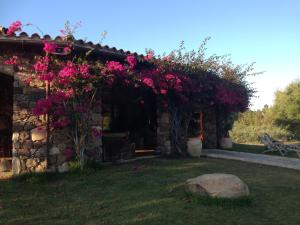 A patio or other outdoor area at Agriturismo Sarrabus