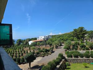 une vue d'un jardin avec des arbres et un bâtiment dans l'établissement 이음채, à Namwon 21 autres photos