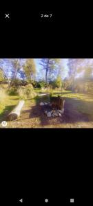 Naturlandskabet i nærheden af campingpladsen