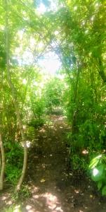 Naturlandskabet i nærheden af campingpladsen + 1 billede