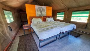 a bedroom with a bed in a room with windows at Zuri Camp - Tent Kiama in Tsumeb
