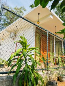 Κήπος έξω από το The Bliss Ella