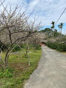 Φωτογραφία από το άλμπουμ του 懷古驛棧民宿 σε Gukeng +26 φωτογραφίες