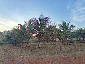 Zahrada ubytování Hotel River Point