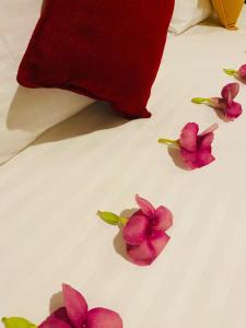 Gallery image of Yala Homestay by Set in Tissamaharama