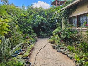 Vườn quanh Rose Petals Apartments