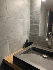 Ένα μπάνιο στο Cozy studio near Lille +16 φωτογραφίες