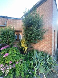 Κήπος έξω από το Cozy studio near Lille