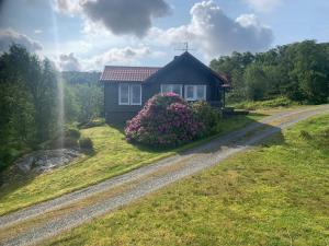ein kleines Haus auf einem Hügel mit einer unbefestigten Straße in der Unterkunft 6 person holiday home in Ånneland in Ånneland