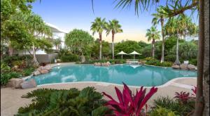 une piscine dans un complexe hôtelier avec des palmiers dans l'établissement Bugluma - Cotton Beach, à Casuarina