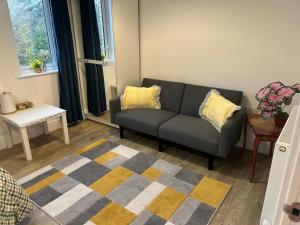 a living room with a gray couch and yellow pillows at Brand new house oxford in Oxford +4 photos