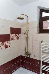 a shower in a bathroom with red and white tiles at CASA Don Lucio in Craiova
