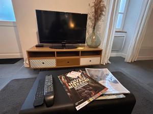 TV a/nebo společenská místnost v ubytování L'Albuconis 1 Grand Studio