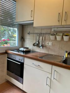 Η κουζίνα ή μικρή κουζίνα στο Room with a View - Champel