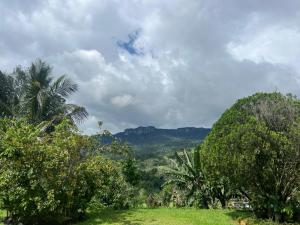 a green field with trees and mountains in the background at Upton Estate Homestay in Deniyaya