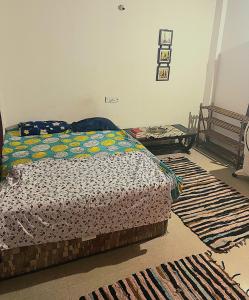 QuerimCommon ground by bunkd hostels的卧室配有一张床,地板上铺有地毯