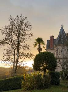 une maison avec un palmier devant dans l'établissement Ty Cocon - havre de paix avec jacuzzi, à Rochefort-en-Terre
