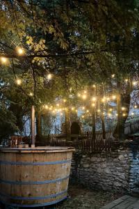 Κήπος έξω από το Cabana Brazilor