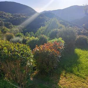 Gallery image of les chalets et gite du haut taravo in Zicavo