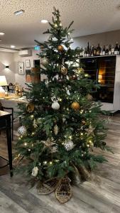 Un árbol de Navidad en medio de una habitación en Maison Jenny Hotel Restaurant & Spa, en Hagenthal-le-Bas 60 fotos más