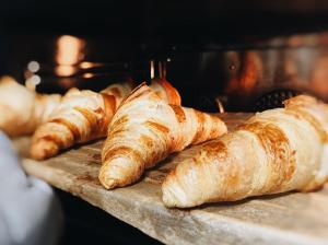 Jídlo v kempu nebo okolí