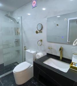 une salle de bain avec toilettes, lavabo et miroir dans l'établissement Imagination Luxury Camp, à Disah