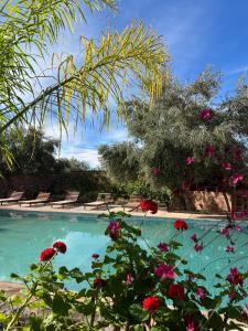 Κήπος έξω από το Ecolodge Dar bouhouta